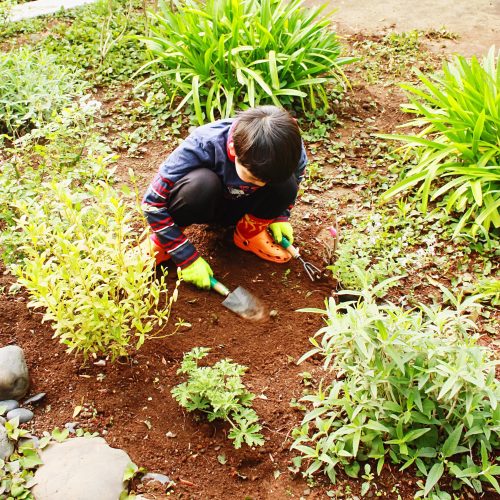 Kid having fun gardening